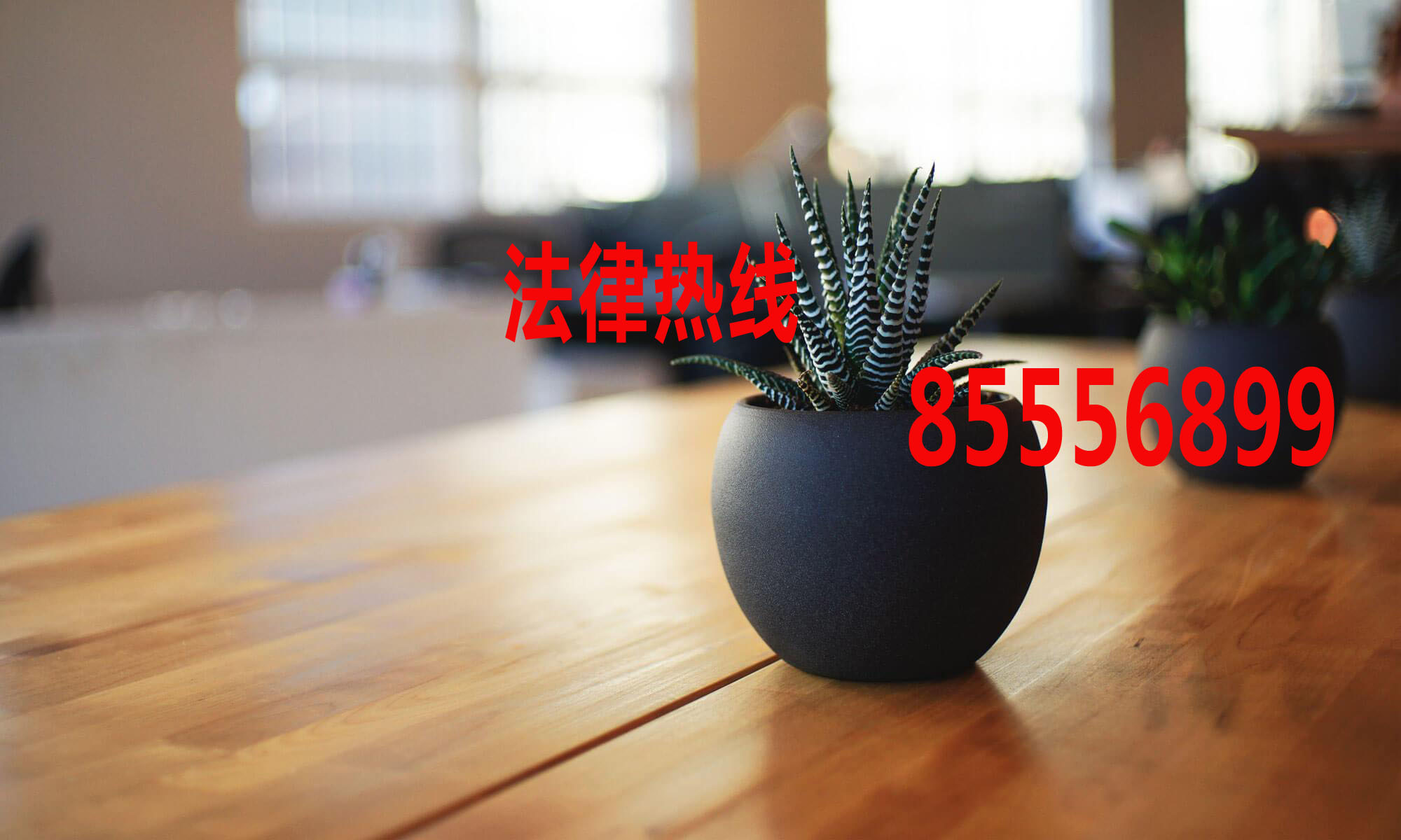泰顺律师15356291688_温州市泰顺县律师